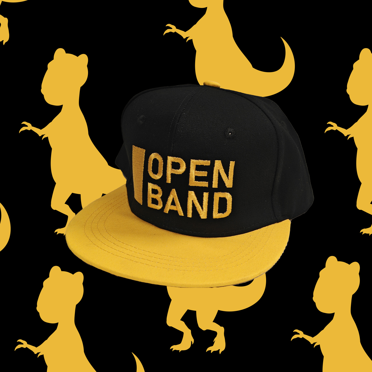 Кепка Open Band